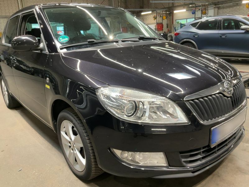 Skoda Fabia 1.4 Fresh 2013 – снимка 12