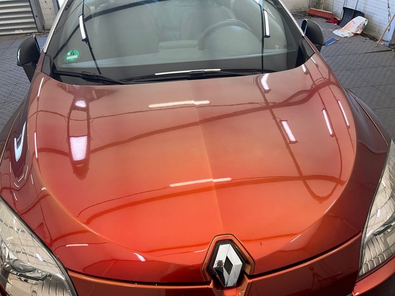 Renault Megane 2.0 TCe Monaco GP 2013 – снимка 46