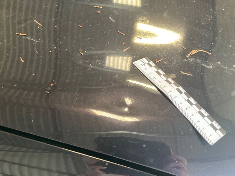 Nissan Qashqai 1.5 Turbodiesel Acenta 2011 – снимка 37