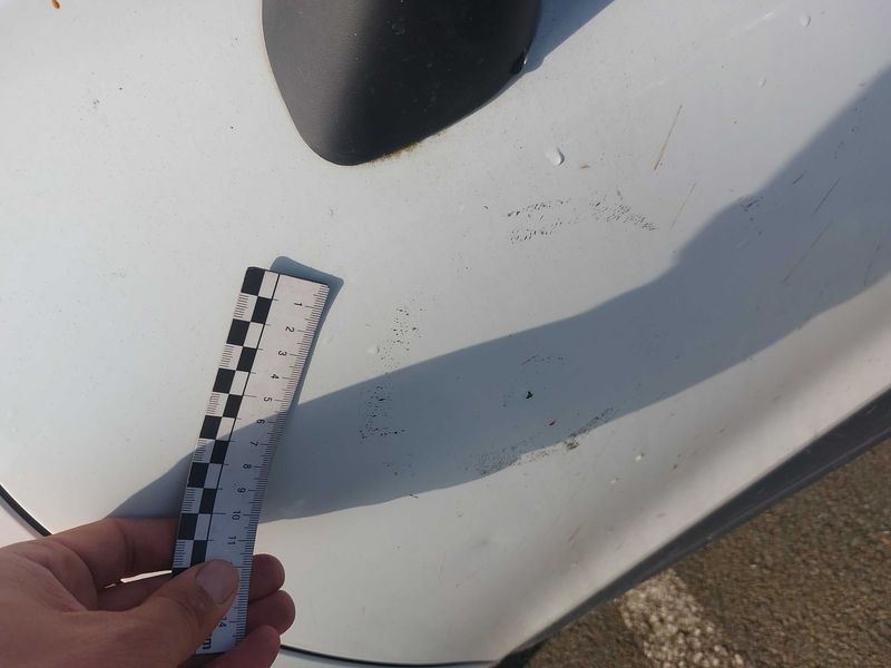 Renault Clio 1.5 dCi Air 2014 – снимка 20