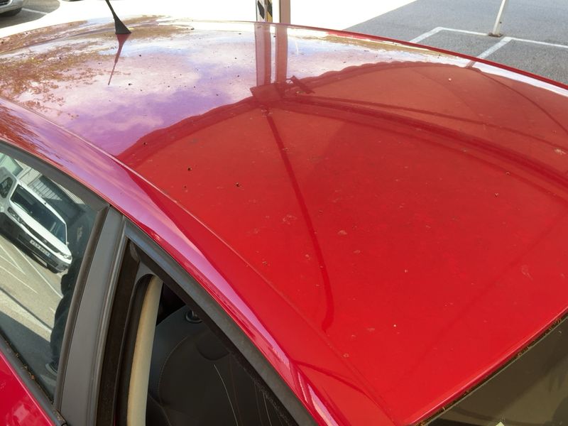 Seat Leon 1.6 TDI Reference Copa 2011 – снимка 13
