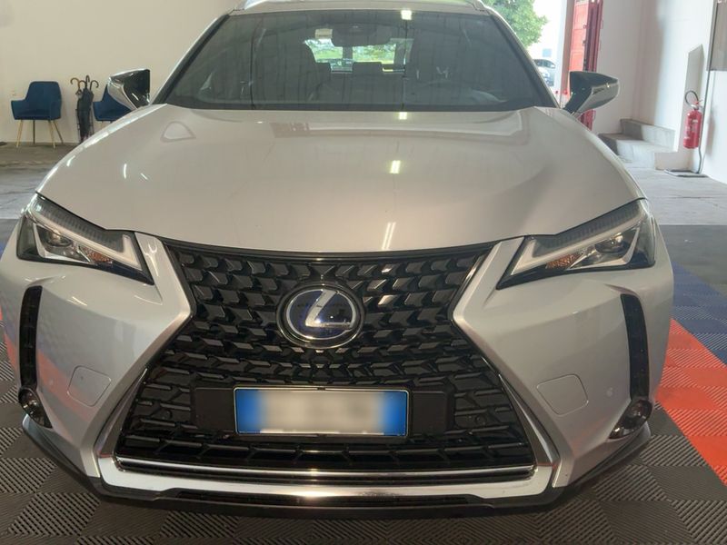 Lexus UX-Serie UX 250h E-Four Premium 2020 – снимка 14