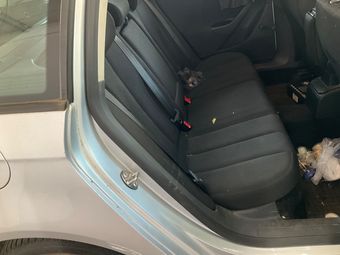 Volkswagen Passat 1.6 TDI Trendline BlueMotion Tech 2010 – снимка на щета 38