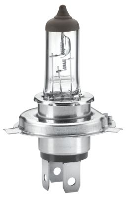 HELLA 8GJ 002 525-281 КРУШКА ХАЛОГЕННА /Heavy Duty/ (P43t)