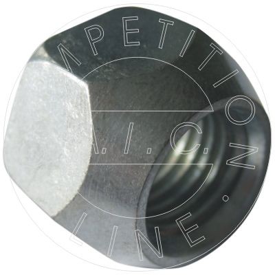 AIC 52919 ГАЙКА ДЖАНТА